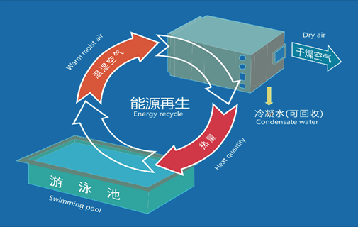 泳池除湿机厂家