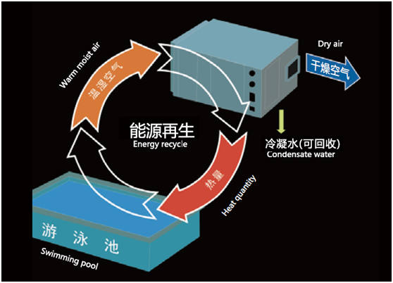 室内泳池恒温恒湿系统