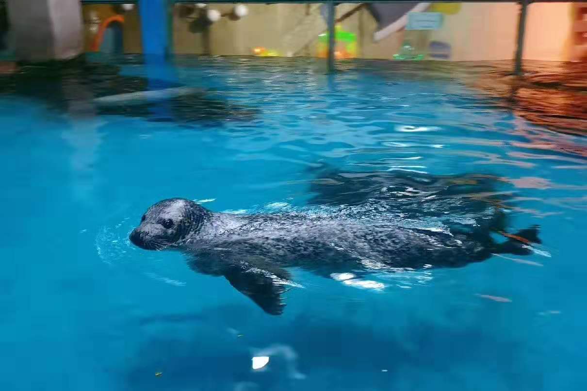 游洋馆除湿机,海洋馆安装除湿机,除湿机