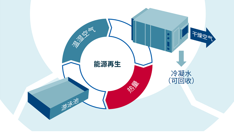 恒温泳池除湿系统,泳池除湿系统