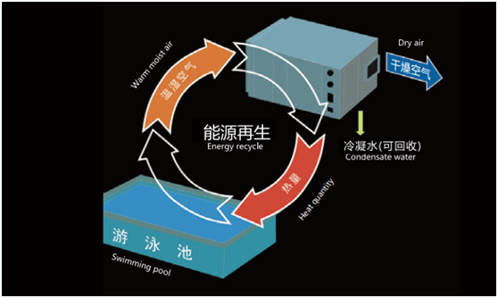 恒温除湿系统