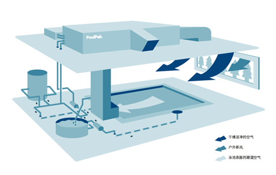 恒温除湿系统给室内游泳池带来了什么？
